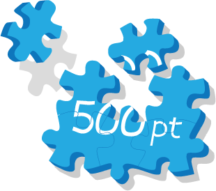puzzle500pnt
