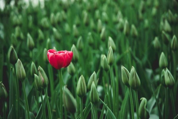 Personal Branding esempi pratici